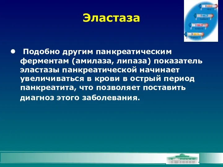 Эластаза Подобно другим панкреатическим ферментам (амилаза, липаза) показатель эластазы панкреатической начинает