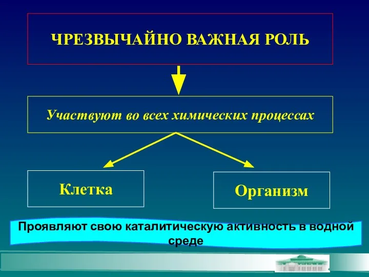 ЧРЕЗВЫЧАЙНО ВАЖНАЯ РОЛЬ Участвуют во всех химических процессах Клетка Организм Проявляют