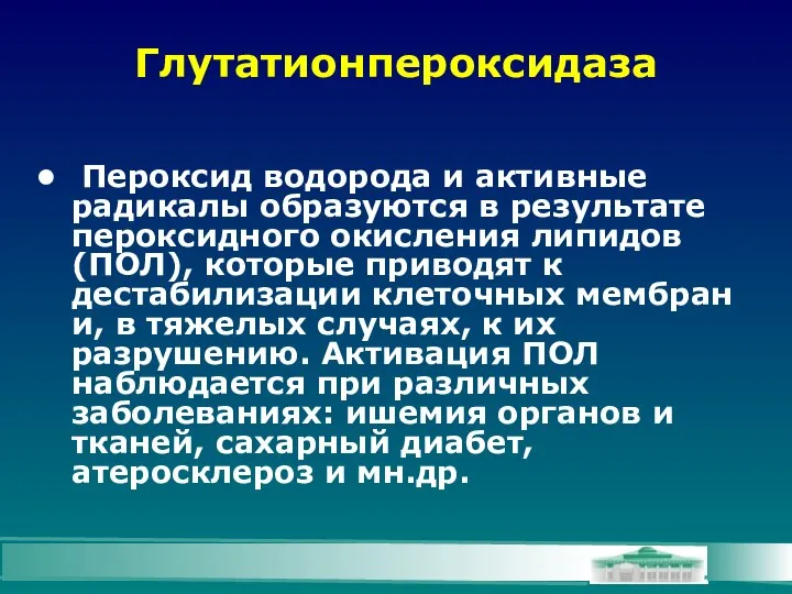 Глутатионпероксидаза Пероксид водорода и активные радикалы образуются в результате пероксидного окисления