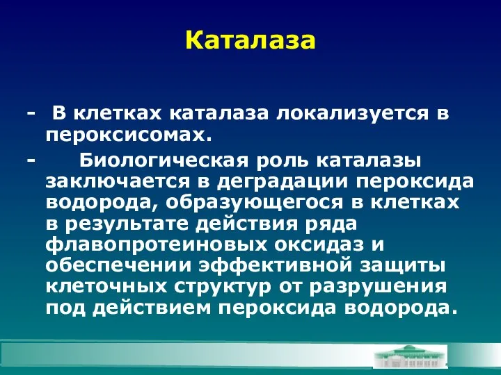 Каталаза - В клетках каталаза локализуется в пероксисомах. - Биологическая роль