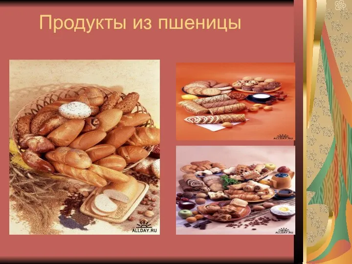 Продукты из пшеницы