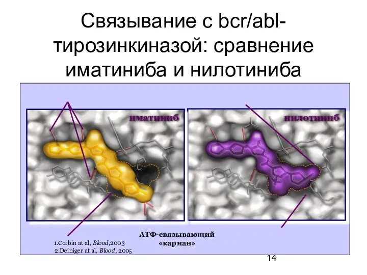 Связывание с bcr/abl-тирозинкиназой: сравнение иматиниба и нилотиниба