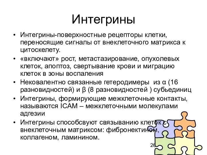 Интегрины Интегрины-поверхностные рецепторы клетки, переносящие сигналы от внеклеточного матрикса к цитоскелету.