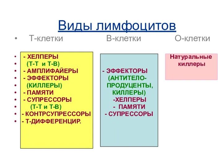 Виды лимфоцитов Т-клетки В-клетки О-клетки - ХЕЛПЕРЫ Натуральные (Т-Т и Т-В)