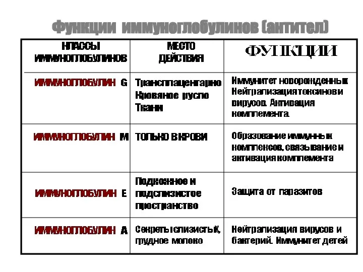 Функции иммуноглобулинов (антител)