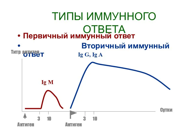 ТИПЫ ИММУННОГО ОТВЕТА Первичный иммунный ответ Вторичный иммунный ответ Титр антител