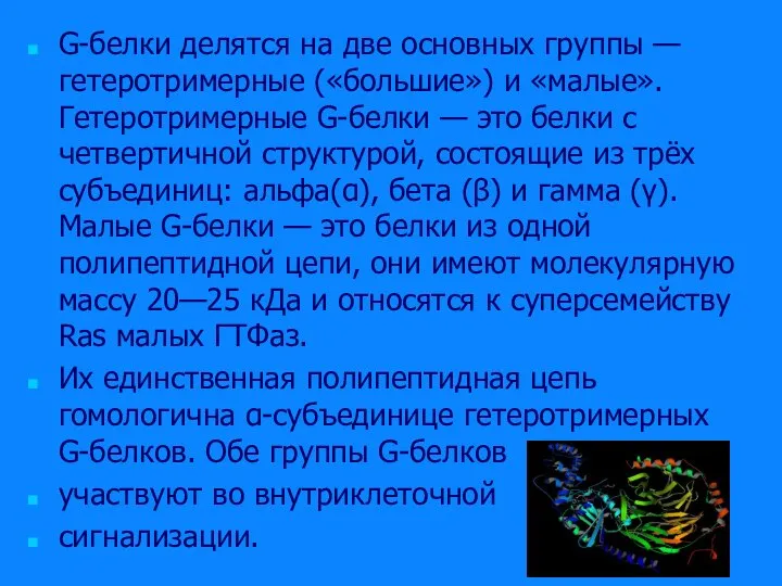 G-белки делятся на две основных группы — гетеротримерные («большие») и «малые».