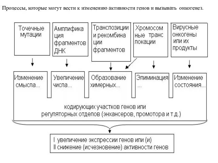 Процессы, которые могут вести к изменению активности генов и вызывать онкогенез.