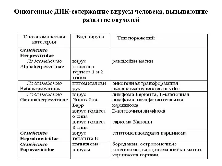 Онкогенные ДНК-содержащие вирусы человека, вызывающие развитие опухолей