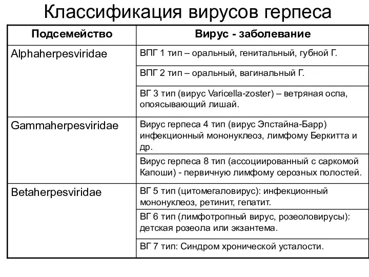 Классификация вирусов герпеса