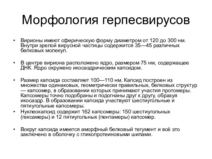 Морфология герпесвирусов Вирионы имеют сферическую форму диаметром от 120 до 300