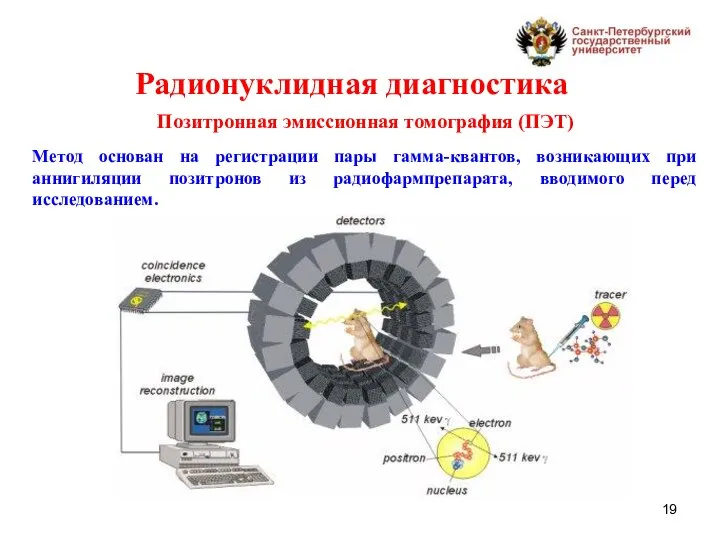 Радионуклидная диагностика Позитронная эмиссионная томография (ПЭТ) Метод основан на регистрации пары