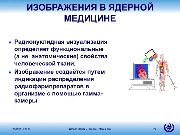 Радионуклидная визуализация определяет функциональные (а не анатомические) свойства человеческой ткани. Изображение