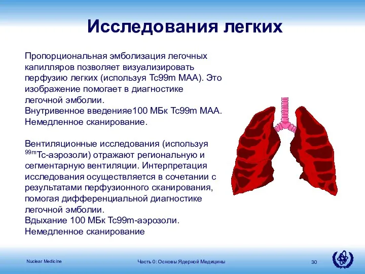 Часть 0: Основы Ядерной Медицины Пропорциональная эмболизация легочных капилляров позволяет визуализировать