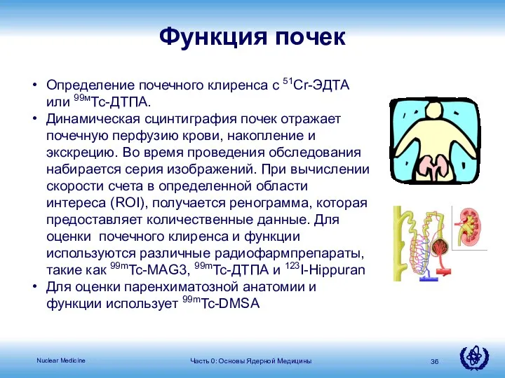 Часть 0: Основы Ядерной Медицины Определение почечного клиренса с 51Cr-ЭДТА или