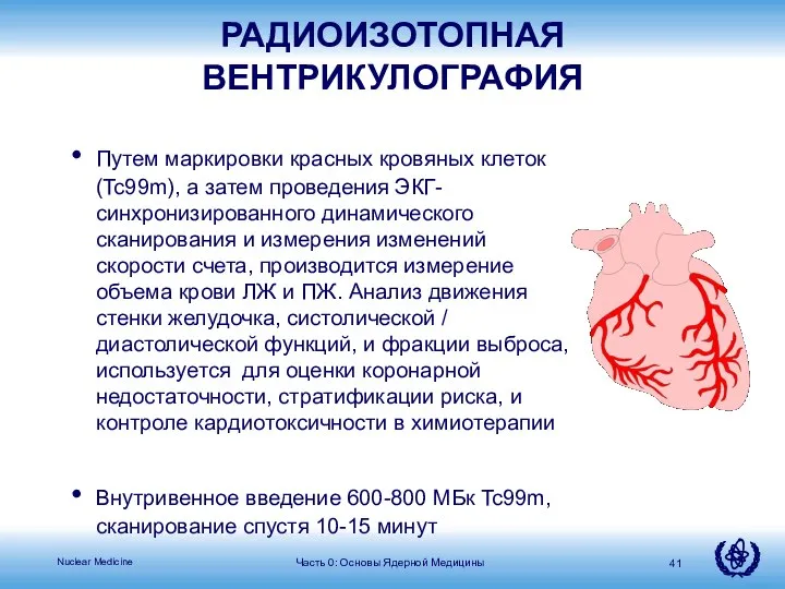 Часть 0: Основы Ядерной Медицины РАДИОИЗОТОПНАЯ ВЕНТРИКУЛОГРАФИЯ Путем маркировки красных кровяных