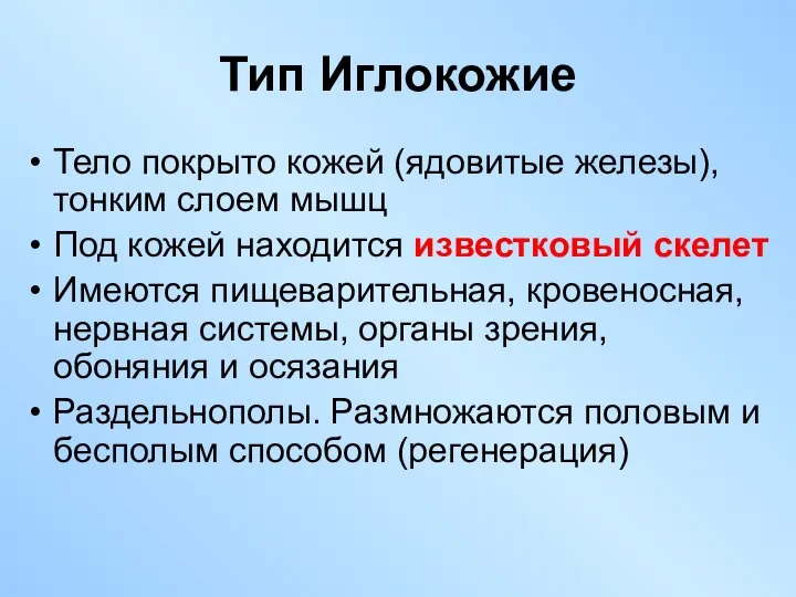 Тело покрыто кожей (ядовитые железы), тонким слоем мышц Под кожей находится