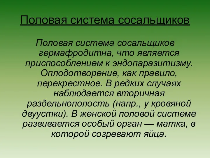 Половая система сосальщиков Половая система сосальщиков гермафродитна, что является приспособлением к