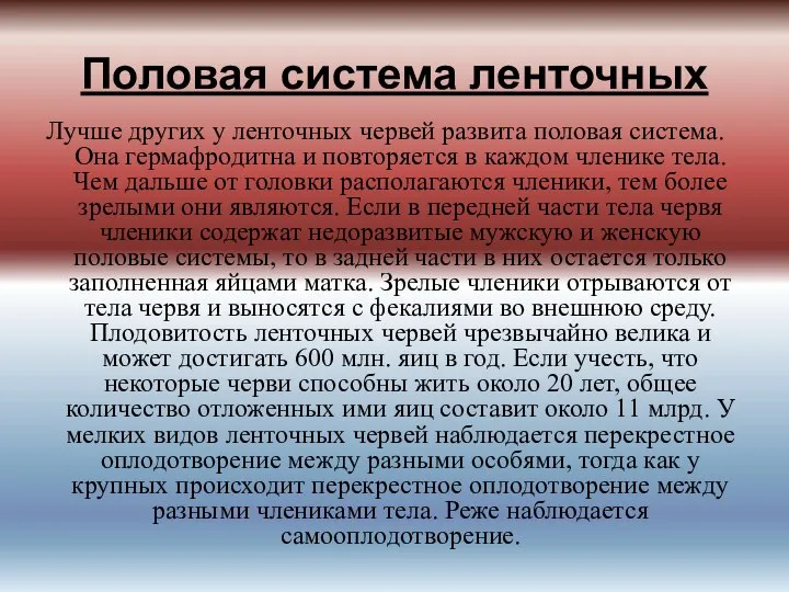 Половая система ленточных Лучше других у ленточных червей развита половая система.