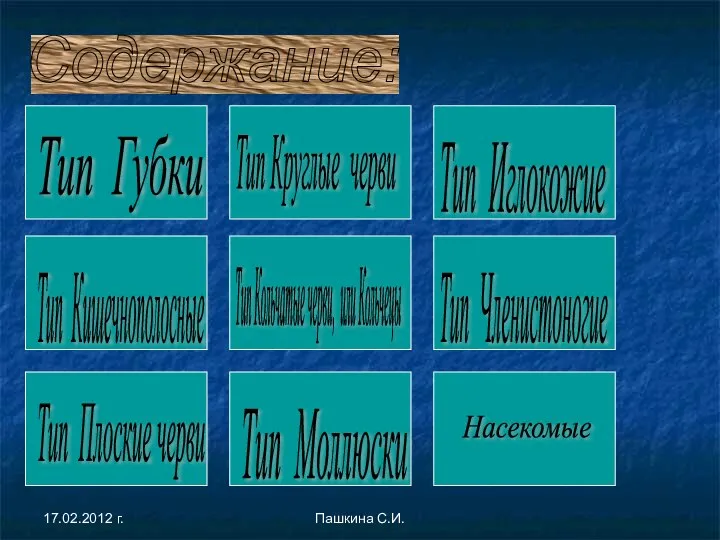 Содержание: Тип Губки Тип Кишечнополосные Тип Плоские черви Тип Круглые черви