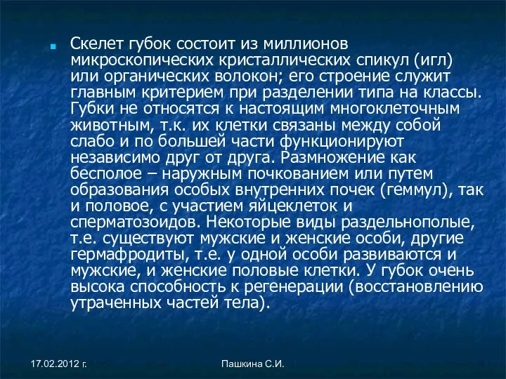 Скелет губок состоит из миллионов микроскопических кристаллических спикул (игл) или органических