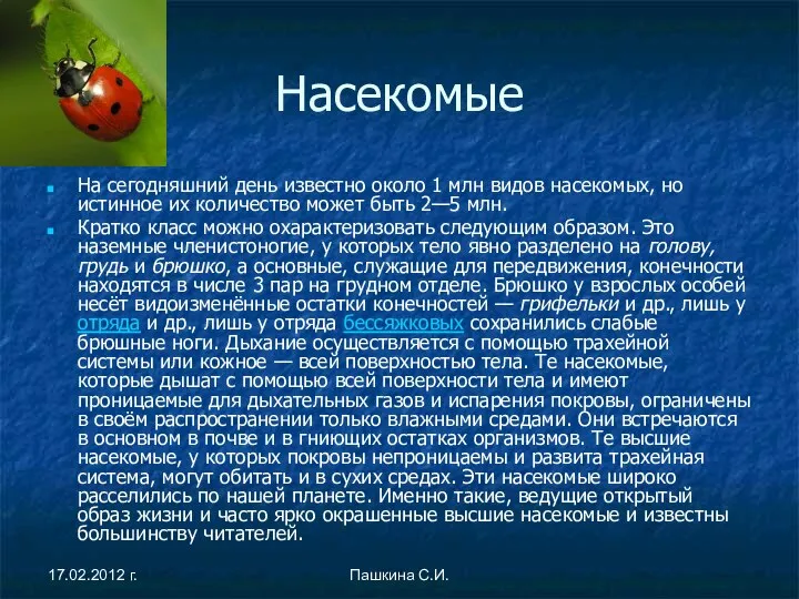 Насекомые На сегодняшний день известно около 1 млн видов насекомых, но