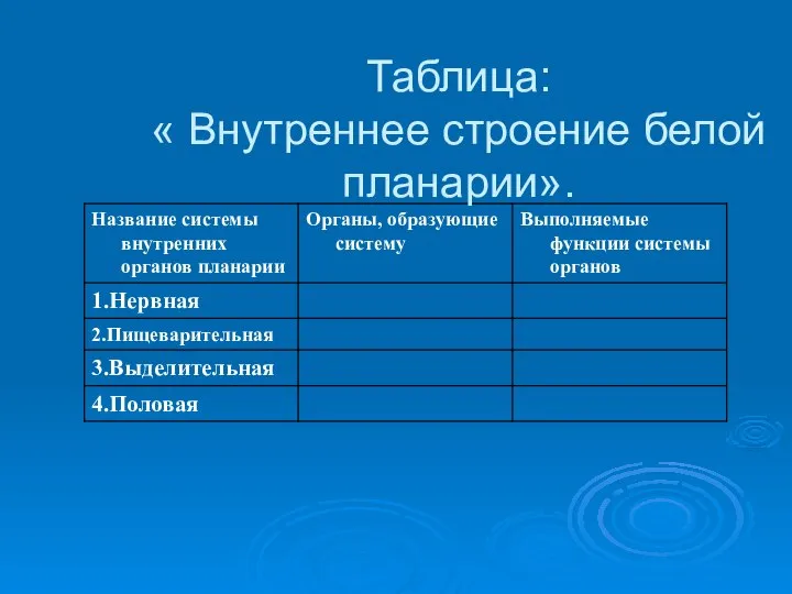 Таблица: « Внутреннее строение белой планарии».