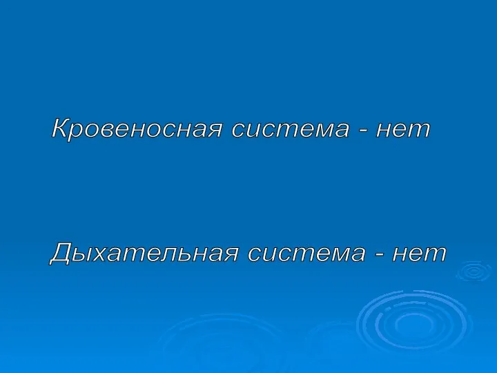 Кровеносная система - нет Дыхательная система - нет