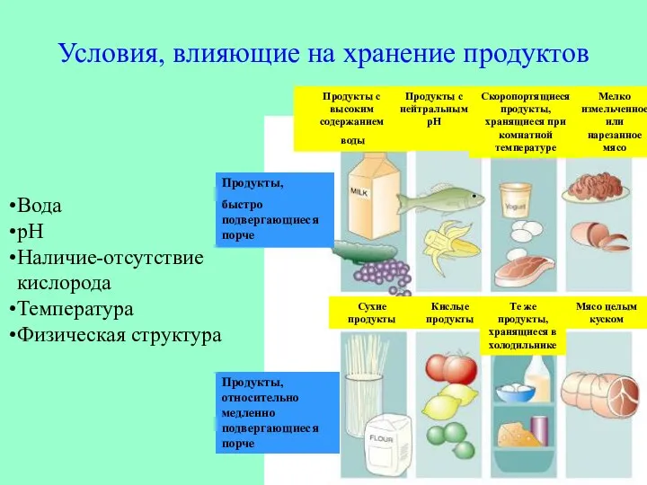 Условия, влияющие на хранение продуктов Вода pH Наличие-отсутствие кислорода Температура Физическая