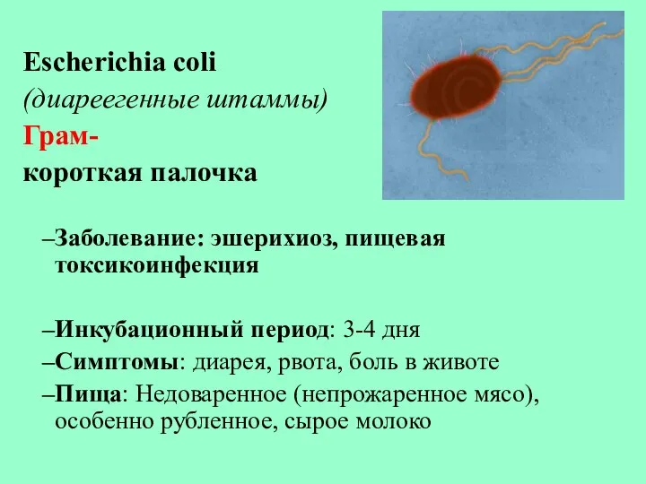 Escherichia coli (диареегенные штаммы) Грам- короткая палочка Заболевание: эшерихиоз, пищевая токсикоинфекция