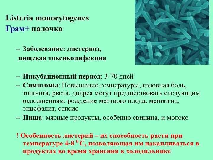 Listeria monocytogenes Грам+ палочка Заболевание: листериоз, пищевая токсикоинфекция Инкубационный период: 3-70