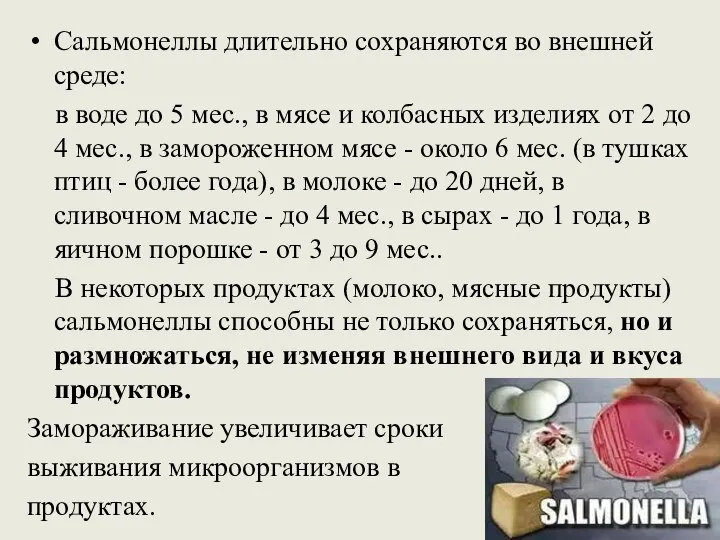 Сальмонеллы длительно сохраняются во внешней среде: в воде до 5 мес.,