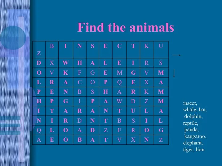 Find the animals insect, whale, bat, dolphin, reptile, panda, kangaroo, elephant, tiger, lion