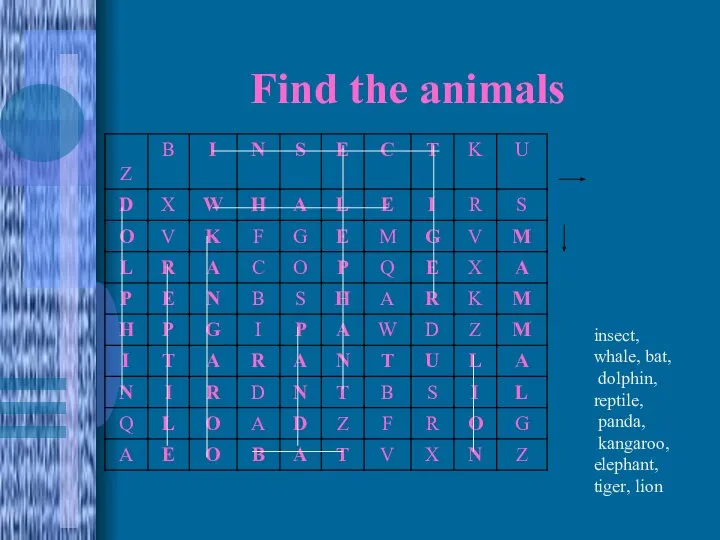 Find the animals insect, whale, bat, dolphin, reptile, panda, kangaroo, elephant, tiger, lion