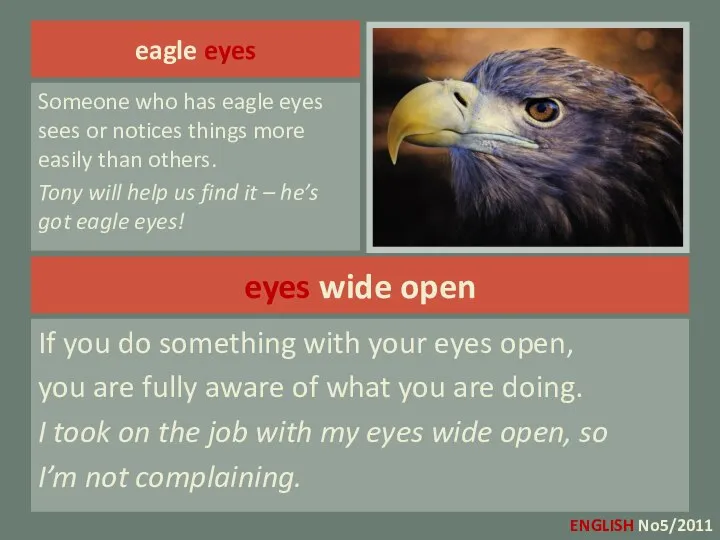 eyes wide open If you do something with your eyes open,