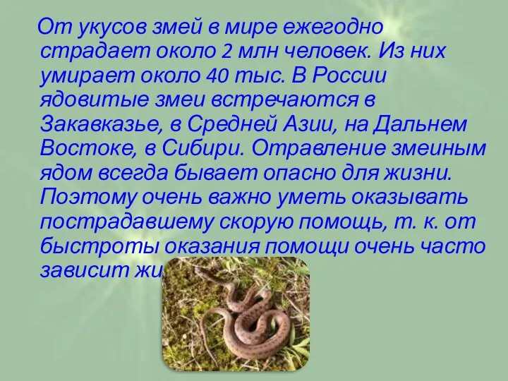 От укусов змей в мире ежегодно страдает около 2 млн человек.