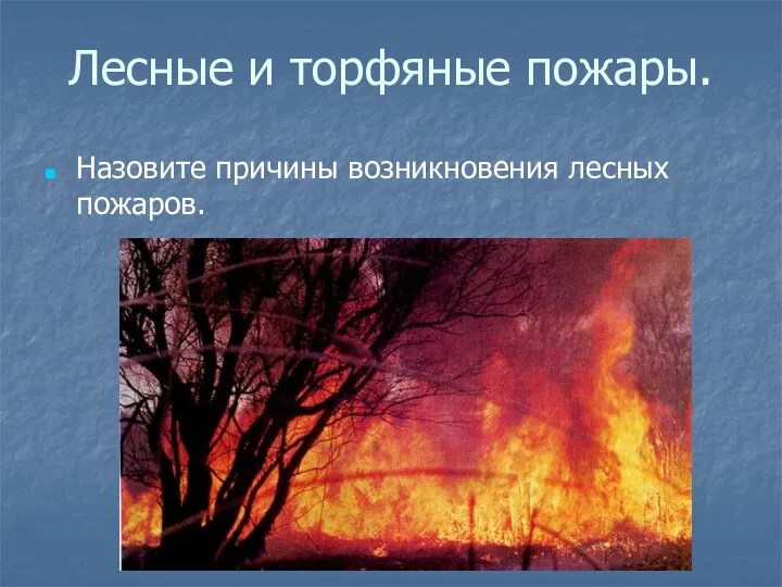 Лесные и торфяные пожары. Назовите причины возникновения лесных пожаров.