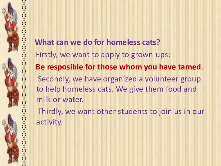 OUR VOLUNTEER ACTIVITY What can we do for homeless cats? Firstly,