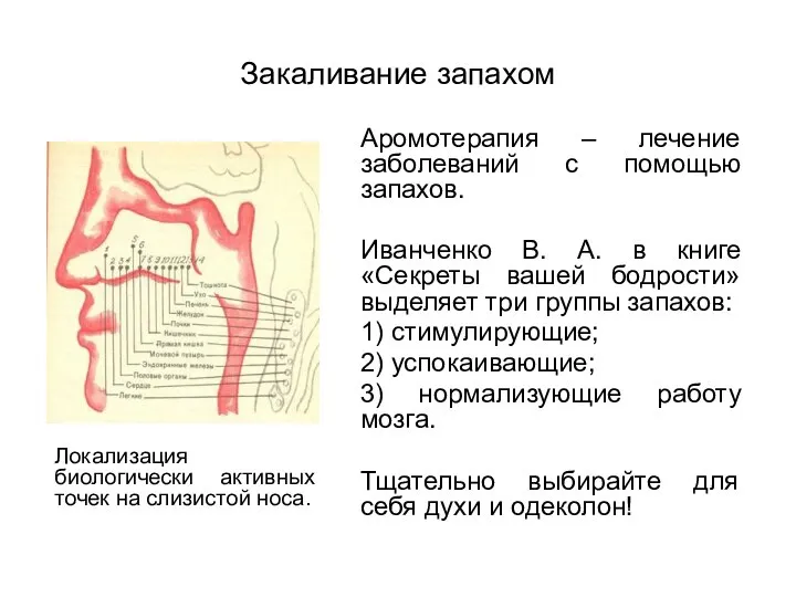 Закаливание запахом Аромотерапия – лечение заболеваний с помощью запахов. Иванченко В.