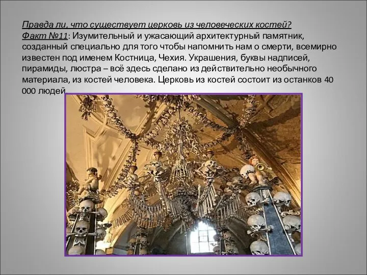Правда ли, что существует церковь из человеческих костей? Факт №11: Изумительный