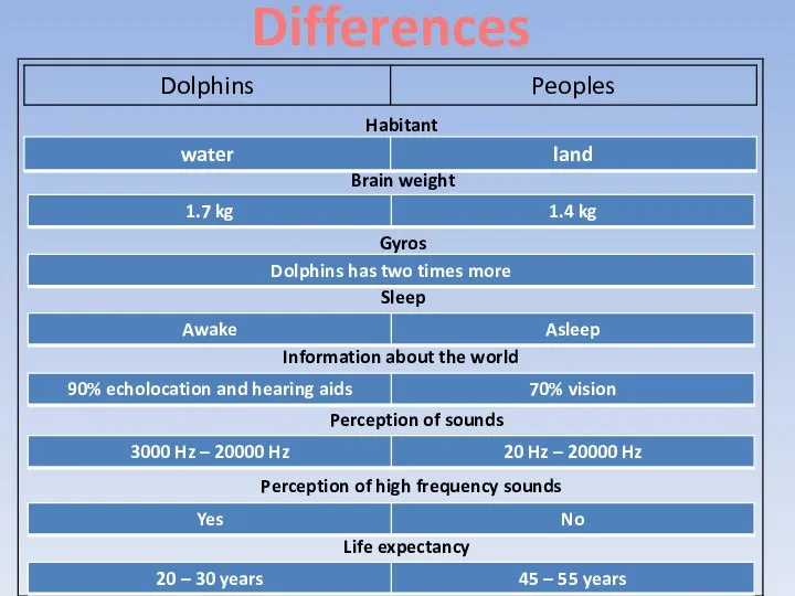 Differences Habitant Brain weight Gyros Sleep Information about the world Perception