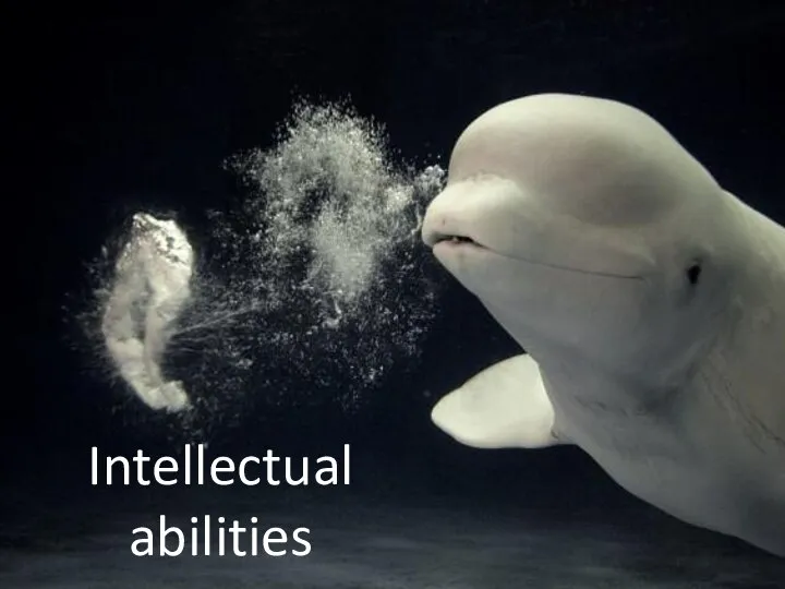 Intellectual abilities