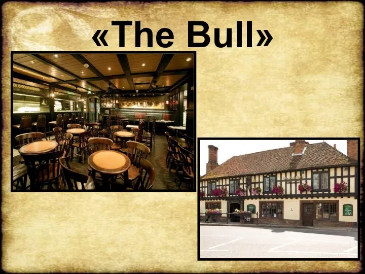 «The Bull»