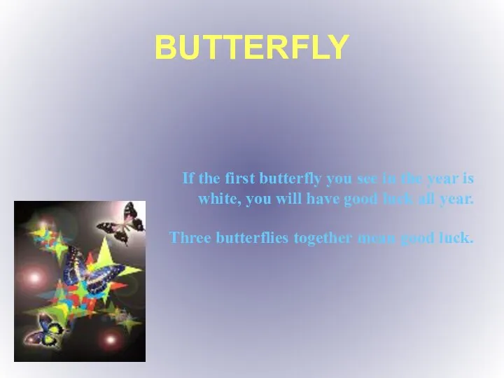 BUTTERFLY