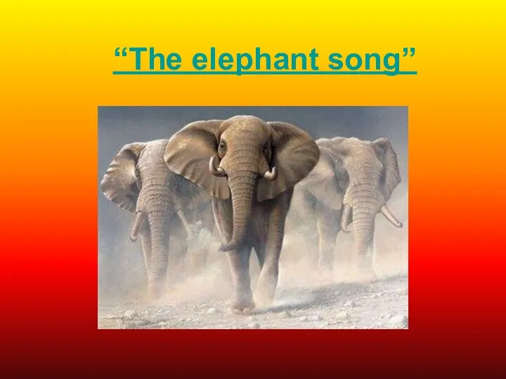 “The elephant song”