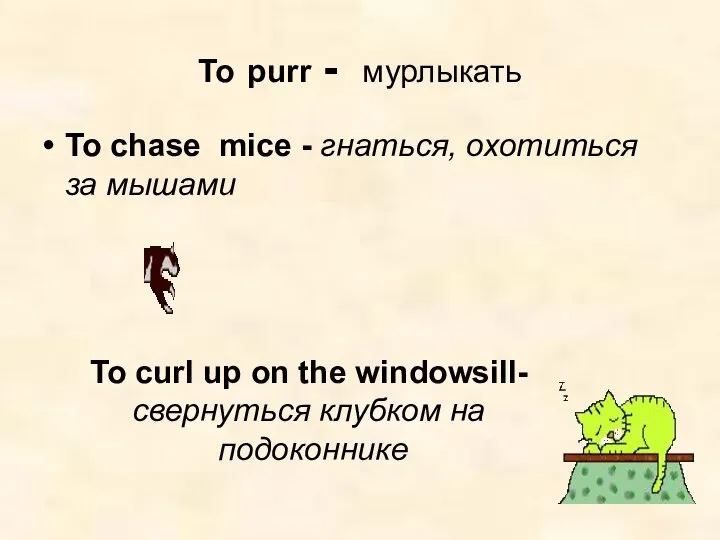 To purr - мурлыкать To chase mice - гнаться, охотиться за