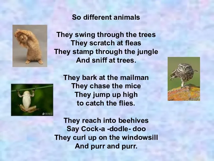So different animals They swing through the trees They scratch at