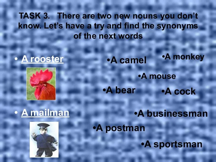 TASK 3. There are two new nouns you don’t know. Let’s