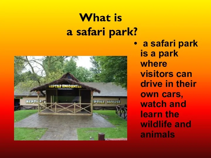 What is a safari park? a safari park is a park
