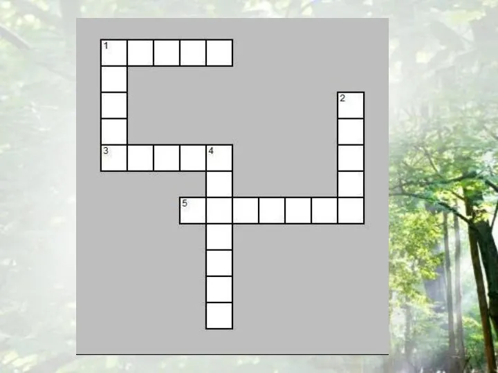 CROSSWORD